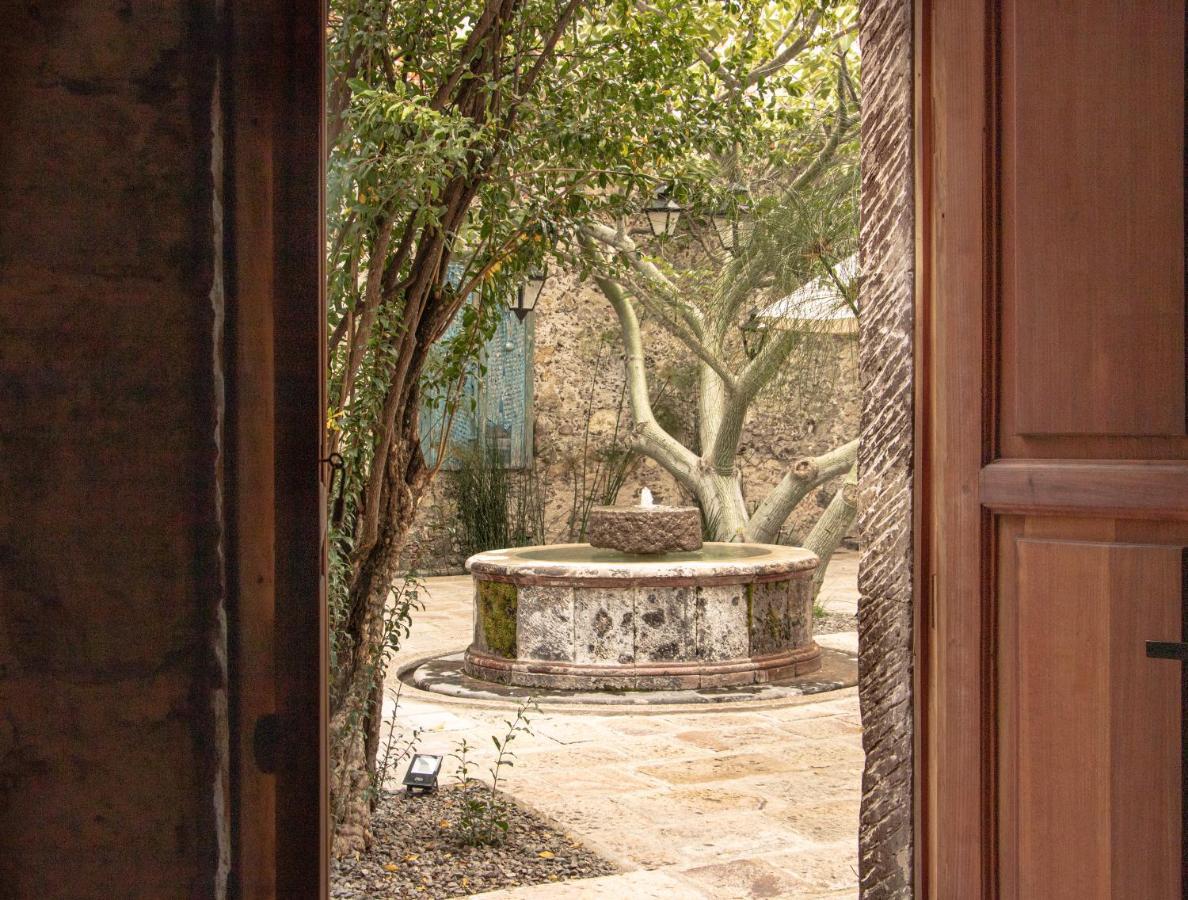 Orchid House San Miguel de Allende Eksteriør billede