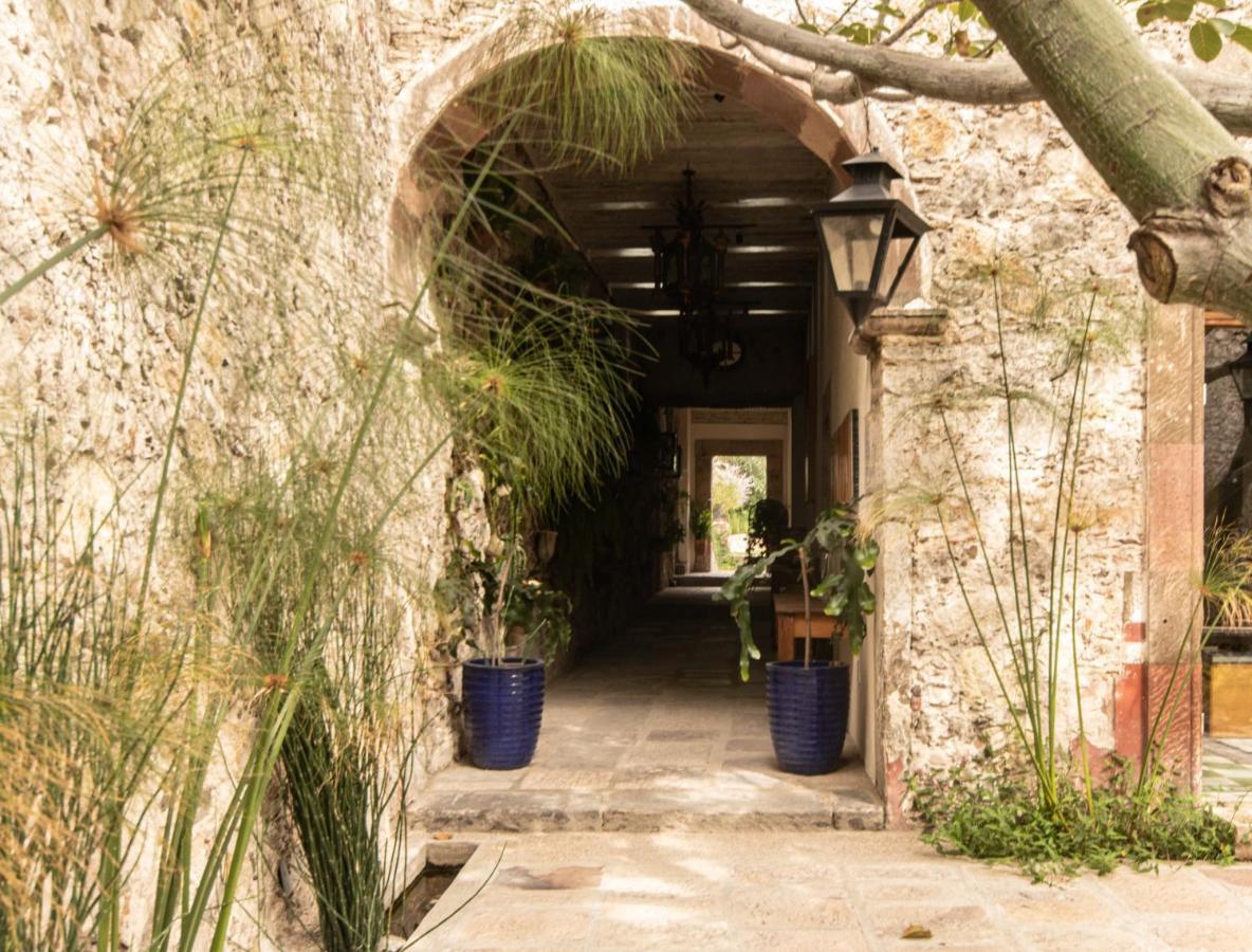 Orchid House San Miguel de Allende Eksteriør billede