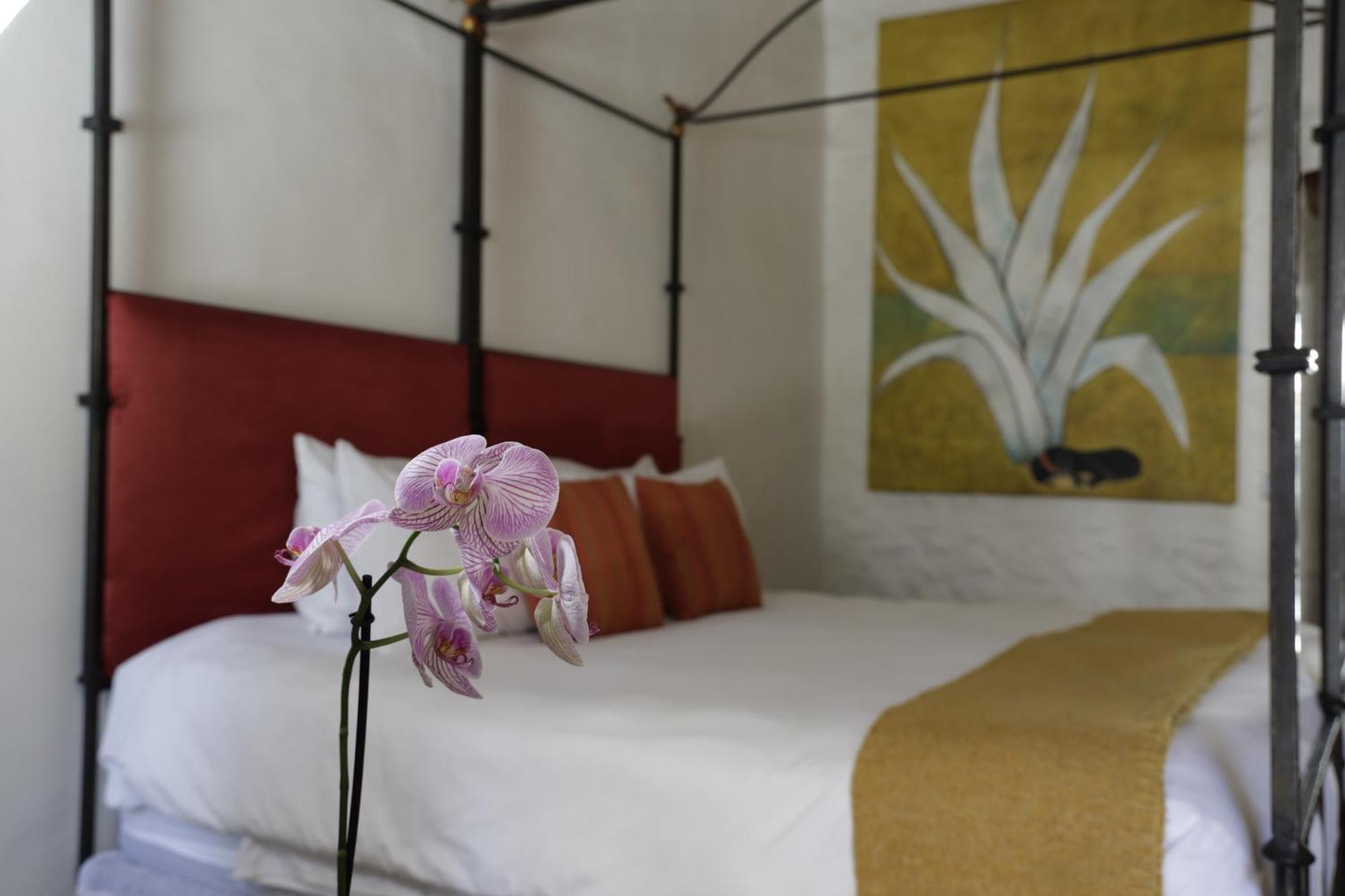 Orchid House San Miguel de Allende Eksteriør billede