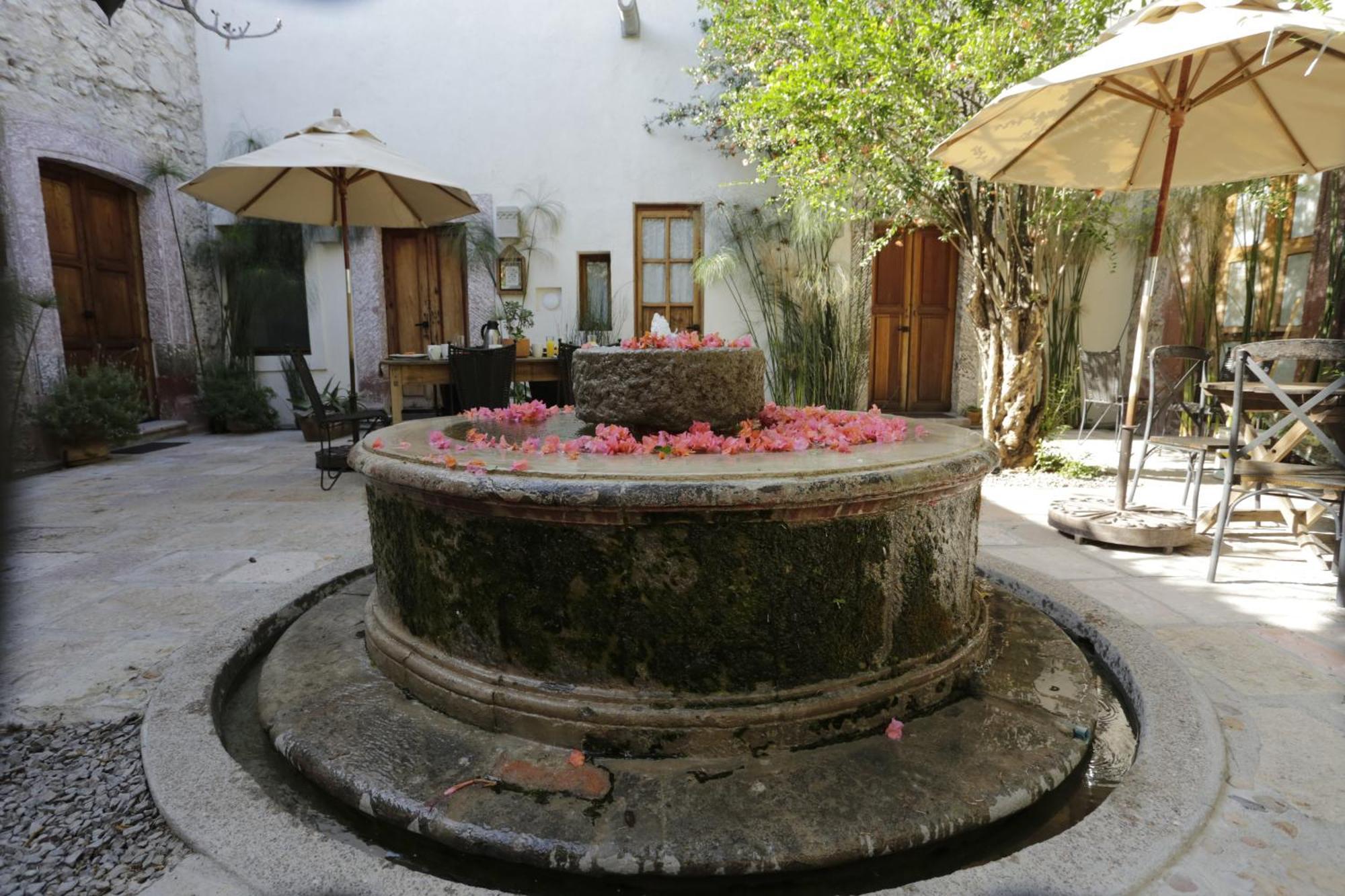 Orchid House San Miguel de Allende Eksteriør billede